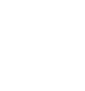 Virginia Symphony Orchestra logo